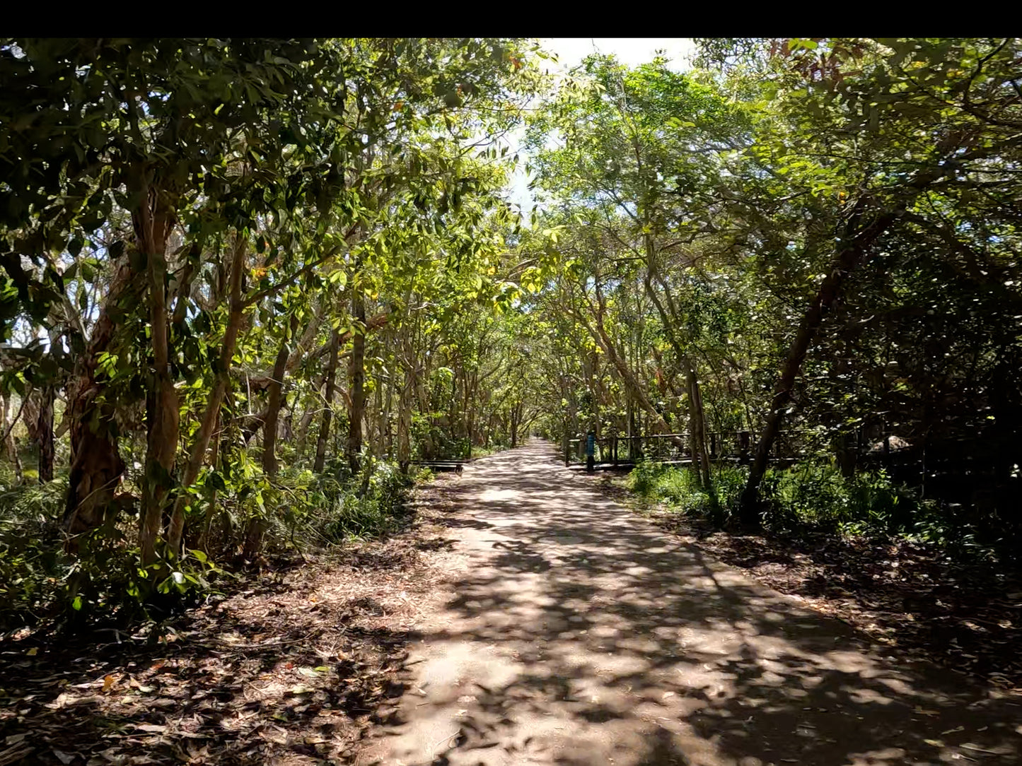 Easy Peasy Novotel North e-Bike Tour β Coastal Adventure for All!