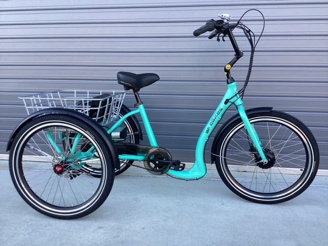 e-Trike-euro-24"
