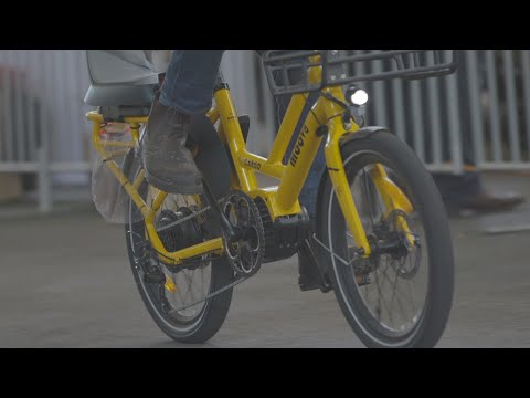 MOOV8 24 CARGO C2 - GREEN: The Ultimate Cargo e-Bike for Every Need