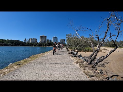 POLISPORT Koolah Bicycle Baby Seat