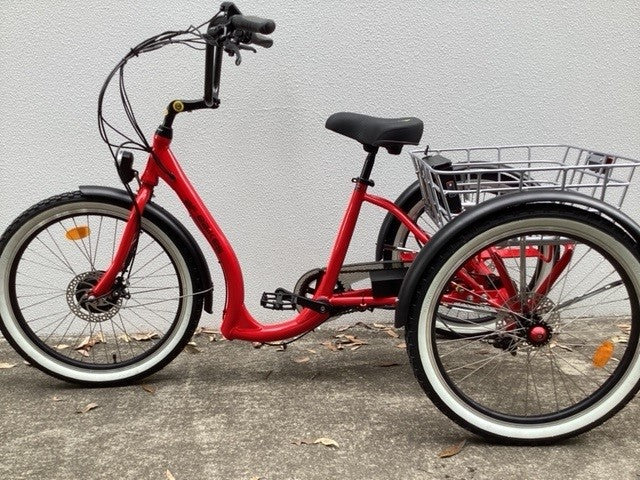 e-Trike-euro-24"