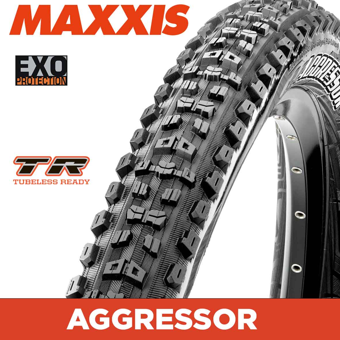 MAXXIS AGGRESSOR EXO TR tyre