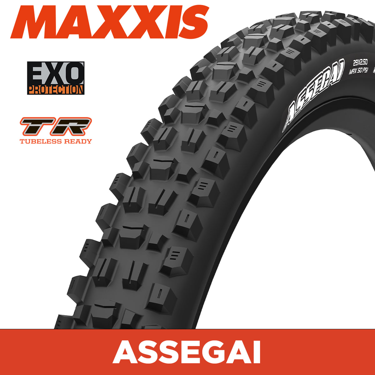 MAXXIS ASSEGAI 27.5X2.60 EXO TR