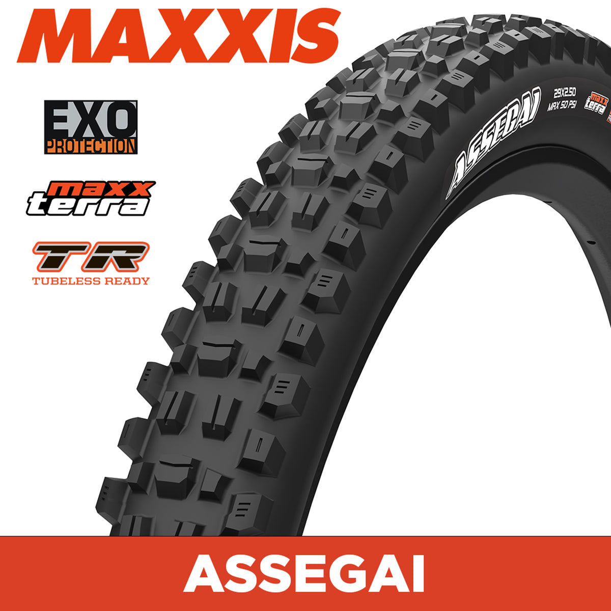 MAXXIS ASSEGAI MAXXTERRA EXO TR