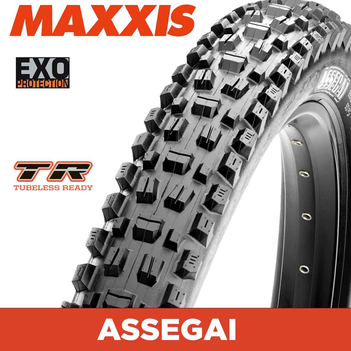 MAXXIS ASSEGAI EXO TR tyre