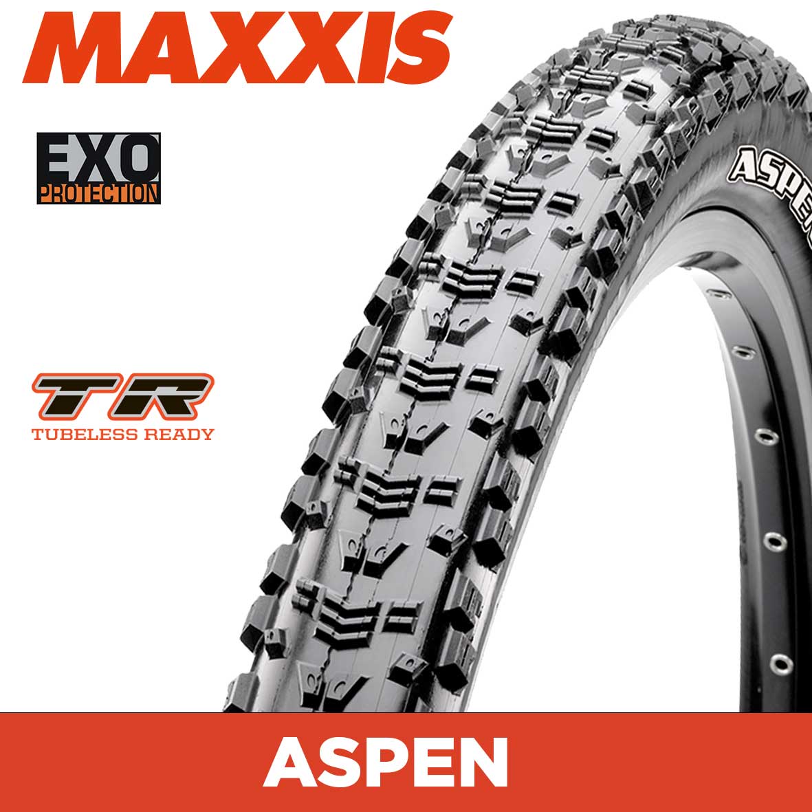MAXXIS ASPEN EXO TR tyre