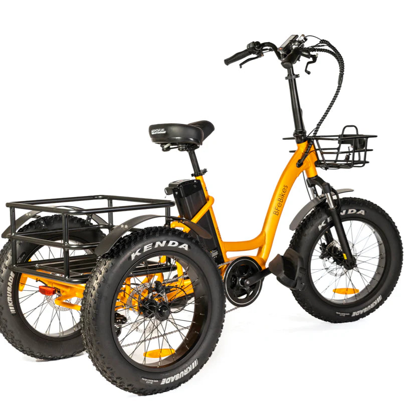 BF Trojan 20-inch Fat Tyre Electric Tricycle - Adventure Meets Stability