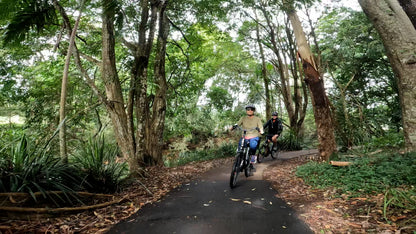 Maleny Magic e-Bike Tour – Scenic Hinterland Adventure