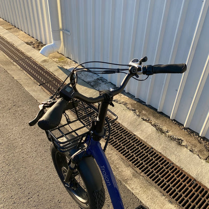 Trojan Fat Tyre Electric Trike – Stable, Powerful & Adventure Ready