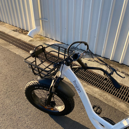 Trojan Fat Tyre Electric Trike – Stable, Powerful & Adventure Ready