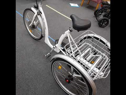 e-Trike-euro-24"