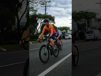 VelectriX Ascent Pulse X 29" Green MTB