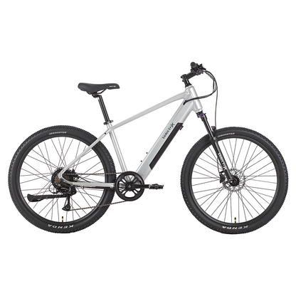 VelectriX Ascent 27.5 silver electric mountain bike