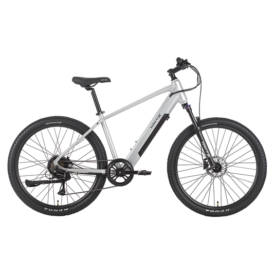 VelectriX Ascent 27.5 silver electric mountain bike