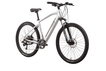 VeletriX 2023 Ascent 29 Silver electric bike